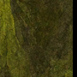 File:World map clean Tyria 6 31 23.jpg