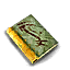 File:Zho's Journal.png