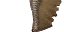 Thumbnail for version as of 15:43, 19 October 2026