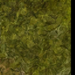 File:World map clean Tyria 6 31 26.jpg