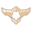 Paragon-faded-large.png