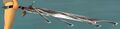 Wyvern Blade