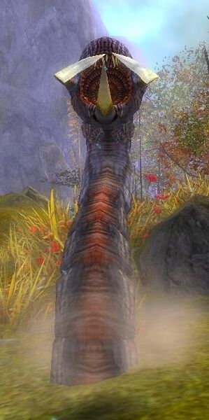 File:Worm (NPC).jpg