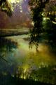 "Swamp" concept art 3.jpg